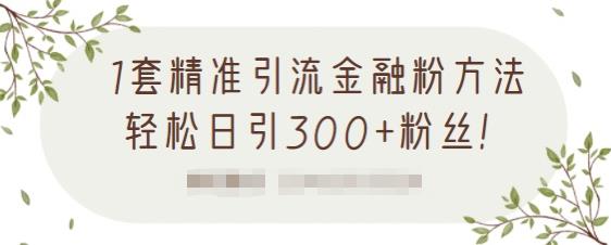 1套精准引流金融粉方法，轻松日引300 粉丝【视频课程】-让一部分人先富起来默财 创业网