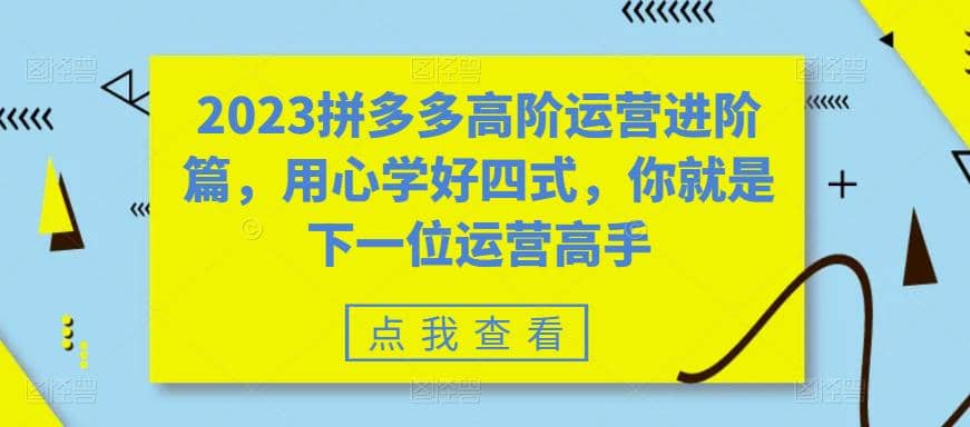 2023拼多多高阶运营进阶篇，用心学好四式，你就是下一位运营高手-让一部分人先富起来默财 创业网