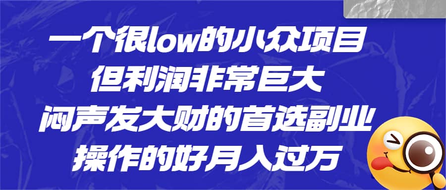一个很low的小众项目，但利润非常巨大，闷声发大财的首选副业，月入过万-让一部分人先富起来默财创业网