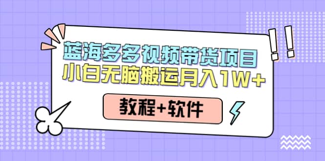 人人都能操作的蓝海多多视频带货项目 小白无脑搬运（教程 软件）-让一部分人先富起来默财 创业网