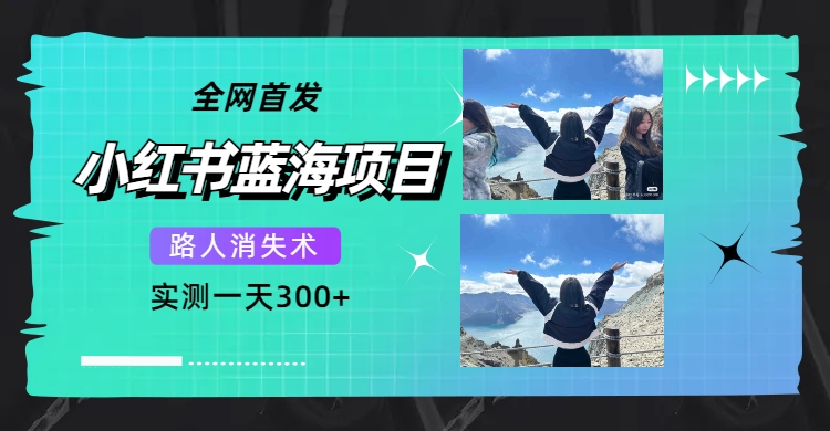 全网首发，小红书蓝海项目，路人消失术，实测一天300 （教程 工具）-让一部分人先富起来默财创业网
