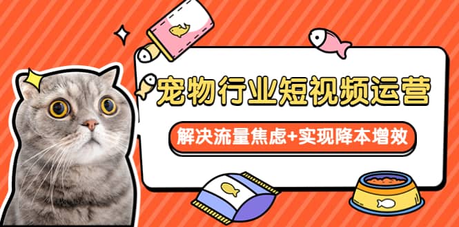 宠物/行业短视频运营 流量增长的一层窗户纸 解决流量焦虑 实现降本增效-让一部分人先富起来默财 创业网