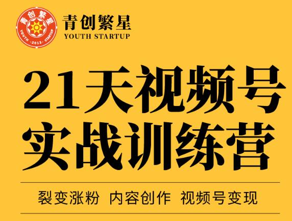 张萌21天视频号实战训练营，裂变涨粉、内容创作、视频号变现 价值298元-让一部分人先富起来默财创业网