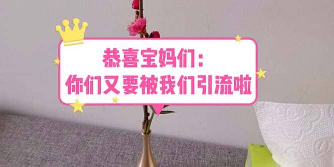 恭喜宝妈们：你们又要被我们引流了（教程 222g资料）-让一部分人先富起来默财创业网