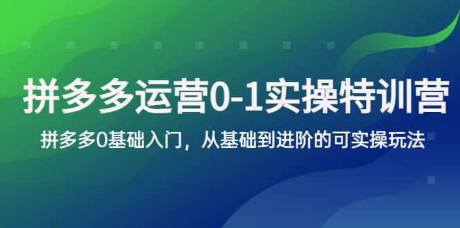 拼多多-运营0-1实操训练营，拼多多0基础入门，从基础到进阶的可实操玩法-让一部分人先富起来默财 创业网