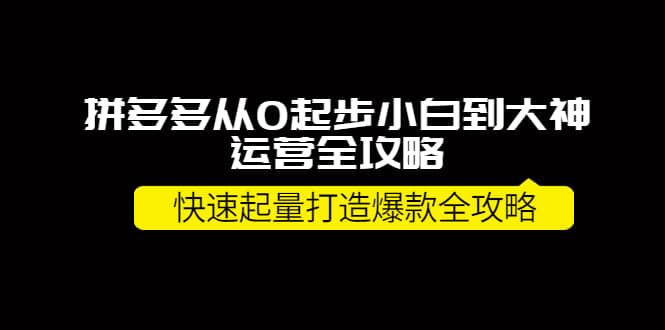 拼多多从0起步小白到大神运营全攻略-让一部分人先富起来默财创业网