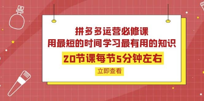 拼多多运营必修课：20节课每节5分钟左右，用最短的时间学习最有用的知识-让一部分人先富起来默财创业网