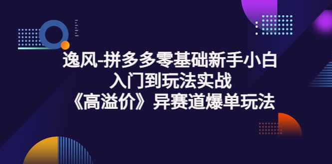 拼多多零基础新手小白入门到玩法实战《高溢价》异赛道爆单玩法实操课-让一部分人先富起来默财创业网
