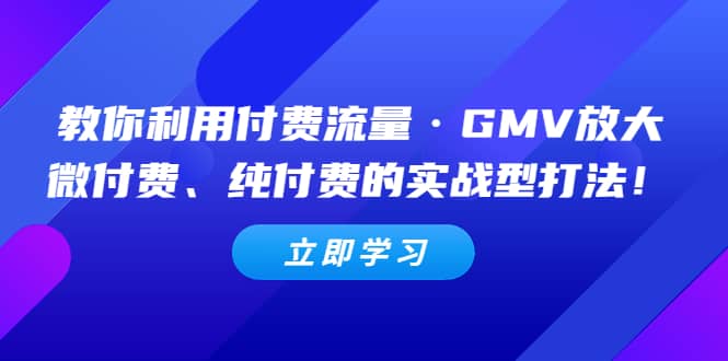 教你利用付费流量·GMV放大，微付费、纯付费的实战型打法-让一部分人先富起来默财 创业网