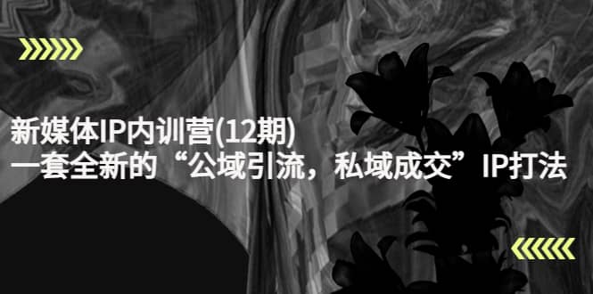 新媒体IP内训营(12期)，一套全新的“公域引流，私域成交”IP打法，直接带走-让一部分人先富起来默财创业网