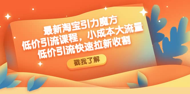 最新淘宝引力魔方低价引流实操：小成本大流量-让一部分人先富起来默财创业网