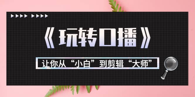 月营业额700万 大佬教您《玩转口播》让你从“小白”到剪辑“大师”-让一部分人先富起来默财创业网