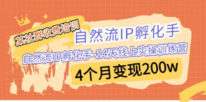 某社群收费培训：自然流IP 孵化手-14天线上实操训练营 4个月变现200w-让一部分人先富起来默财创业网