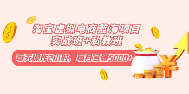 淘宝虚拟电商蓝海项目实战班 私教班-让一部分人先富起来默财创业网