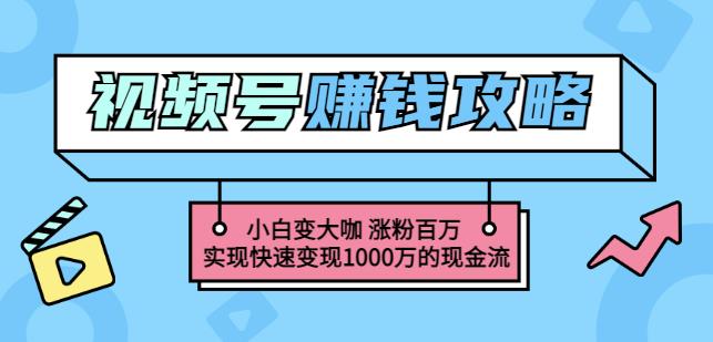 玩转微信视频号赚钱：小白变大咖涨粉百万实现快速变现1000万的现金流-让一部分人先富起来默财 创业网