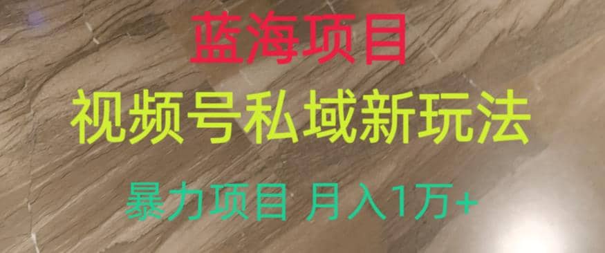 蓝海项目，视频号私域新玩法，暴力项目月入1万 【揭秘】-让一部分人先富起来默财 创业网