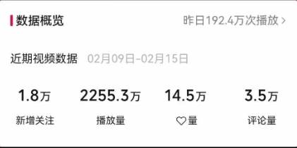 视频号最新100%原创玩法，收益稳定，单日收益1000+，小白专属插图(2)