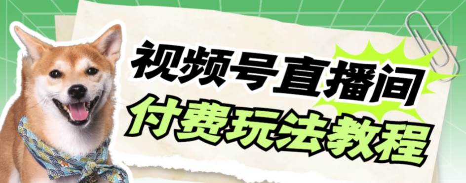 视频号美女付费无人直播，轻松日入500 【详细玩-让一部分人先富起来默财 创业网