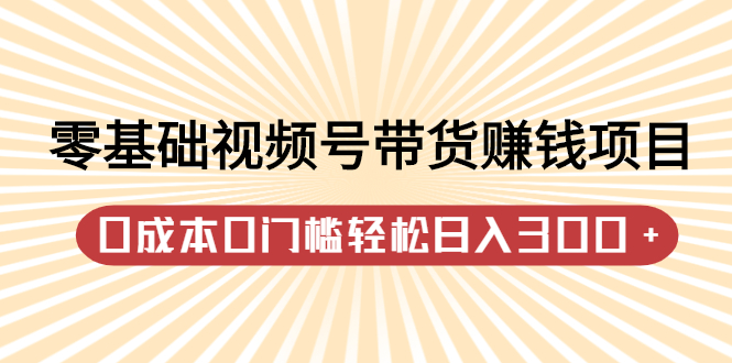 零基础视频号带货赚钱项目，0成本0门槛轻松日入300 【视频教程】-让一部分人先富起来默财 创业网