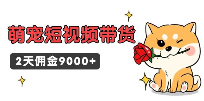 东哲日记·萌宠短视频带货，2天佣金9000+-让一部分人先富起来默财创业网