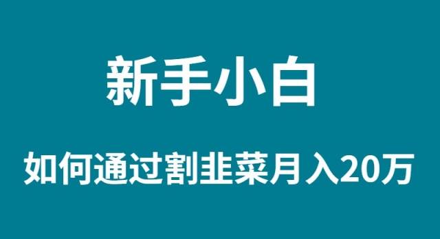 新手小白如何通过割韭菜月入 20W-让一部分人先富起来默财创业网