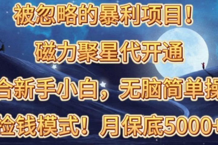 被忽略的暴利项目！磁力聚星代开通捡钱模式，轻松月入五六千-让一部分人先富起来默财创业网