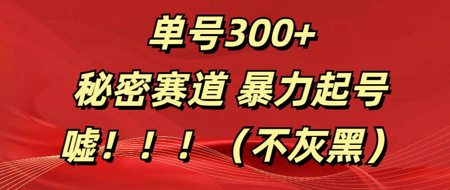 单号300+  秘密赛道 暴力起号  （不灰黑）-让一部分人先富起来默财创业网