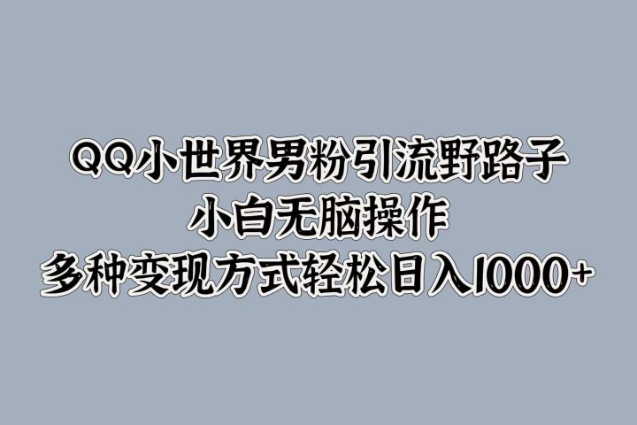 QQ小世界男粉引流野路子，小白无脑操作，多种变现方式轻松日入1000+-让一部分人先富起来默财创业网