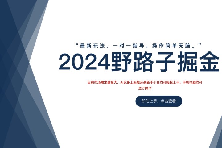 2024野路子掘金，最新玩 法， 一对一指导，操作简单无脑。-让一部分人先富起来默财创业网