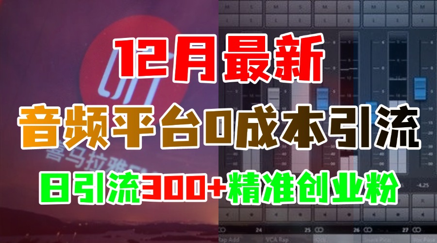 12月最新：音频平台0成本引流，日引300+精准创业粉-让一部分人先富起来默财创业网