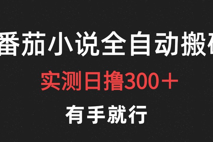 最新番茄小说挂机搬砖，日撸300＋！有手就行，可矩阵放大-让一部分人先富起来默财创业网