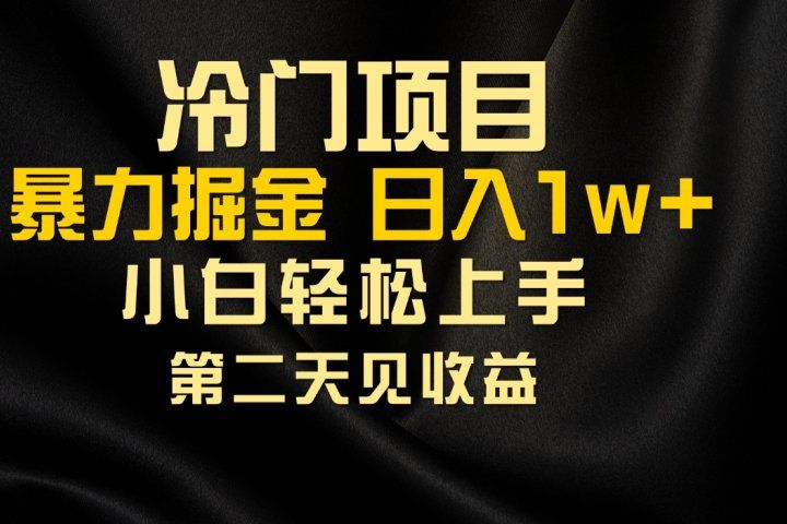 冷门项目，靠一款软件日入10000+暴力掘金小白轻松上手，第二天见收益-让一部分人先富起来默财创业网