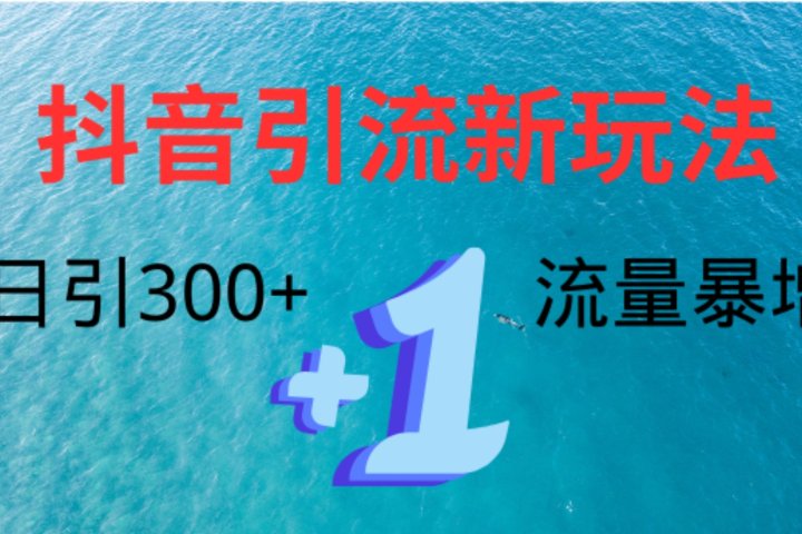 创业粉高效引流，抖音工具号玩法4.0，日引300+-让一部分人先富起来默财创业网