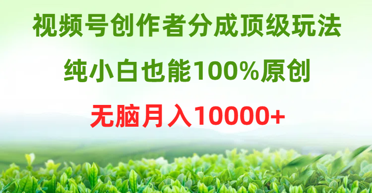 视频号创作者分成顶级玩法，纯小白也能100%原创，无脑月入10000+-让一部分人先富起来默财创业网