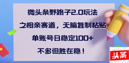 全网首发微头条野路子2.0玩法之相亲赛道，无脑搬砖复制粘贴，单账号日稳定300+保姆级教程-让一部分人先富起来默财创业网