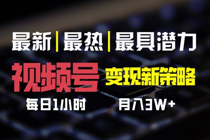视频号变现新策略，每日一小时月入30000+-让一部分人先富起来默财创业网