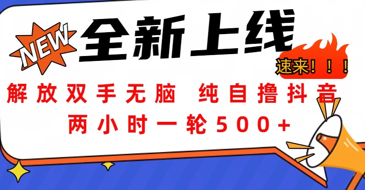 解放双手无脑 纯自撸抖音 两小时一轮500+-让一部分人先富起来默财创业网