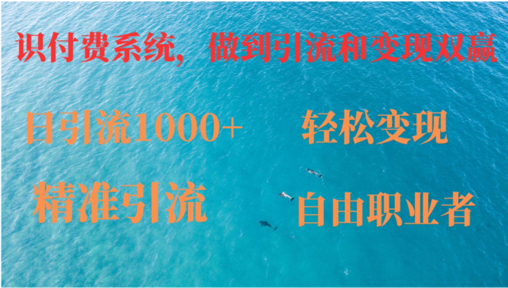 如何搭建自己的知识付费系统，做到引流跟变现双赢插图