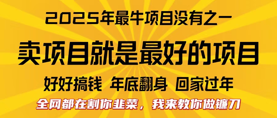 全网都在割你韭菜，我来教你做镰刀。卖项目就是最好的项目，2025年最牛互联网项目-让一部分人先富起来默财创业网