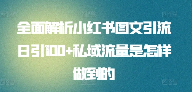 暴力引流 小红书图文引流日引100私域全面拆解【打粉人必看】-让一部分人先富起来默财创业网