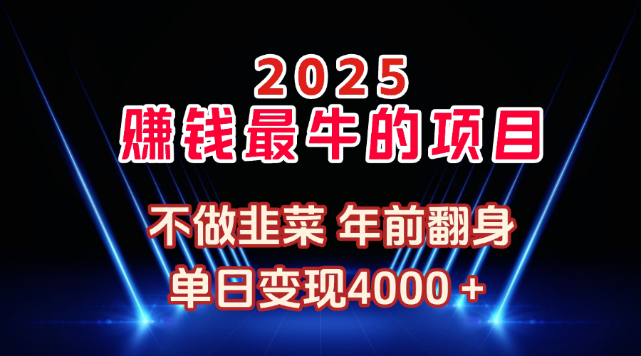 2025年赚钱最牛的项目 不做韭菜 年前翻身-让一部分人先富起来默财创业网