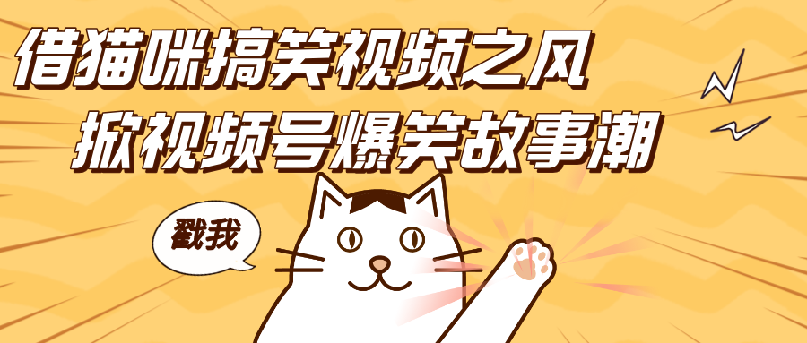 借猫咪搞笑视频之风，掀视频号爆笑故事潮，轻松日赚四位数，开启无门槛赚钱新体验！-让一部分人先富起来默财 创业网