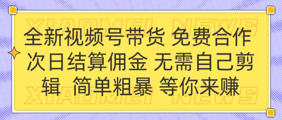 全新视频号 免费合作 佣金次日结算 无需自己剪辑-让一部分人先富起来默财创业网