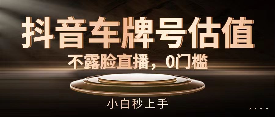 抖音车牌号估值，不露脸直播，0门槛，小白秒上手插图
