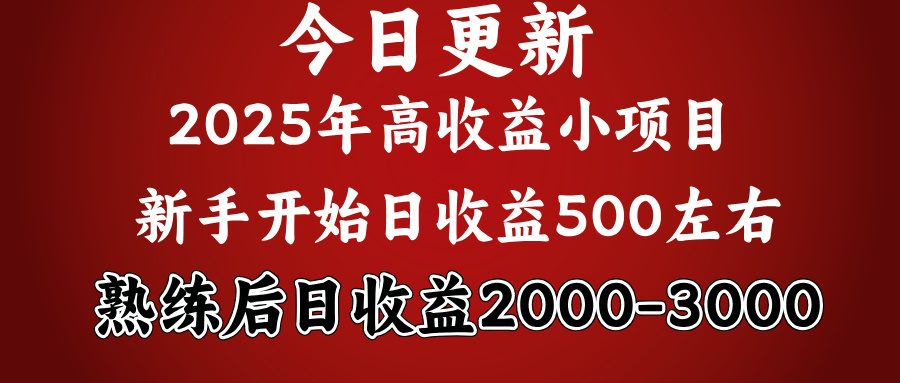 好项目一眼就能看出来，日收益1000，长久可做，2025拼的就是我比你勤奋-让一部分人先富起来默财创业网
