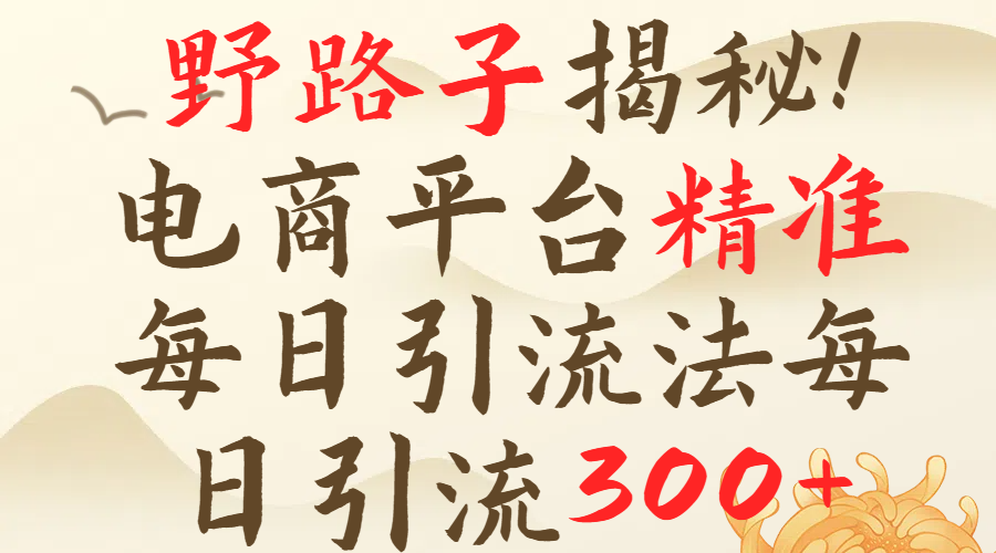 野路子揭秘！电商平台每日引流300＋独家揭秘详细流程！-让一部分人先富起来默财创业网