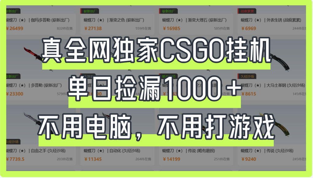 真全网独家CSGO挂机，单日捡漏1000+-让一部分人先富起来默财创业网