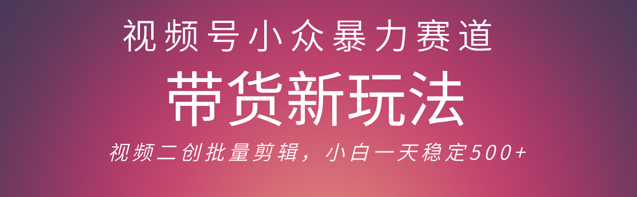 视频号小众暴力赛道，最新带货玩法 小白也能轻松日入500+ 保姆及教程-让一部分人先富起来默财 创业网